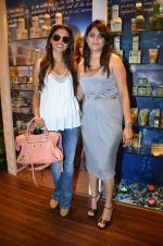 Purbi Joshi at Natasha Shah_s Nature_s Co store launch in Infinity Mall, Malad on 10th Nov 2011 (26).JPG